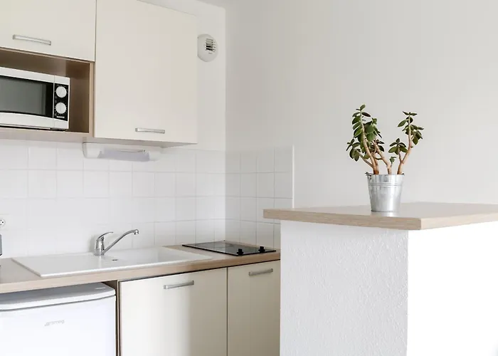 Adonis Hauts De Honfleur